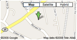 Google Map View